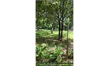 VENTA DE TERRENO EN RIO GRANDE PENONOMÉ