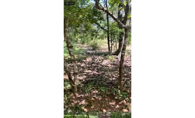 VENTA DE TERRENO EN RIO GRANDE PENONOMÉ