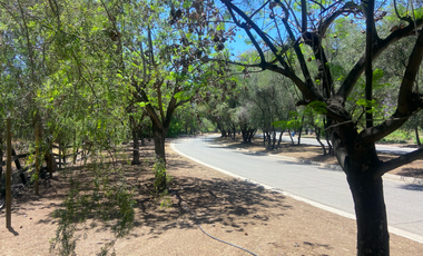 Sitio en Venta en Pueblo de Chacabuco