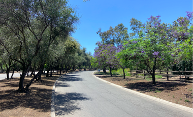Sitio en Venta en Pueblo de Chacabuco
