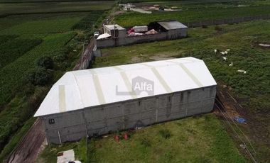 Bodega en venta y renta San Javier, Irapuato, Gto.