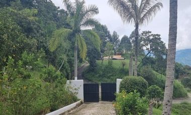 FINCA EN VENTA EN TITIRIBI SECTOR VEREDA CORCOVADO