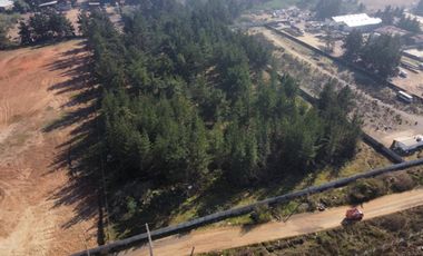 TERRENOS EN VENTA, CAMINO INTERNACIONAL (CÓD. 424)