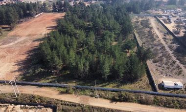 TERRENOS EN VENTA, CAMINO INTERNACIONAL (CÓD. 424)