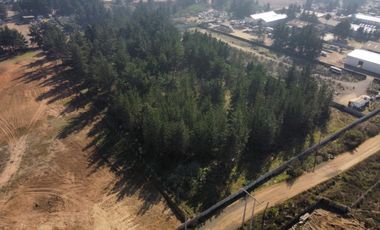 TERRENOS EN VENTA, CAMINO INTERNACIONAL (CÓD. 424)