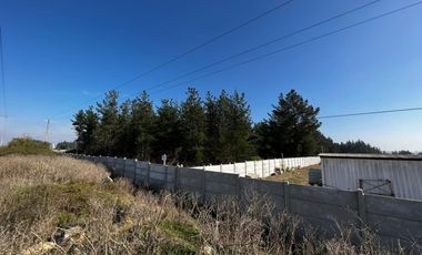 TERRENOS EN ARRIENDO, CAMINO INTERNACIONAL