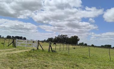 CAMPO EN Venta SAN MIGUEL DEL  MONTE Acceso directo ruta 41 y secundario por ruta 3