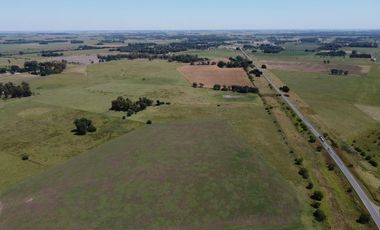CAMPO EN Venta SAN MIGUEL DEL  MONTE Acceso directo ruta 41 y secundario por ruta 3