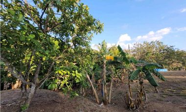 VENTA DE TERRENO EN SAN FRANCISCO VERAGUAS B/. 30 X MT