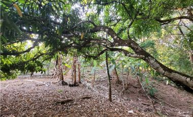 VENTA DE TERRENO EN SAN FRANCISCO VERAGUAS B/. 30 X MT