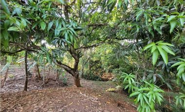 VENTA DE TERRENO EN SAN FRANCISCO VERAGUAS B/. 30 X MT