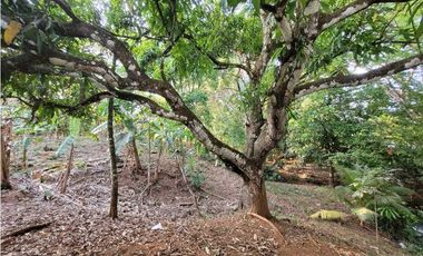 VENTA DE TERRENO EN SAN FRANCISCO VERAGUAS B/. 30 X MT