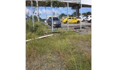 Se Alquila Terreno Transistmica