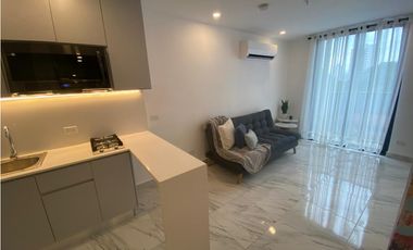 Alquiler de apartamento en Calle 50, Ph The Gray