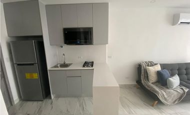 Alquiler de apartamento en Calle 50, Ph The Gray