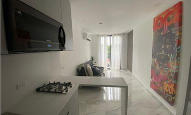 Alquiler de apartamento en Calle 50, Ph The Gray
