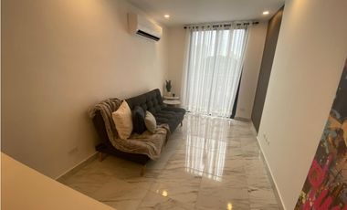 Alquiler de apartamento en Calle 50, Ph The Gray