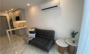 Alquiler de apartamento en Calle 50, Ph The Gray