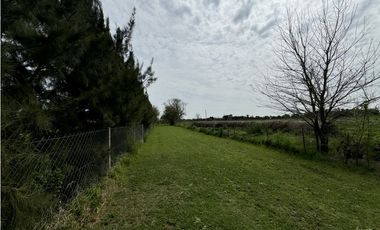 Campo en venta en Ranchos. 1 Ha con casas, pileta, arboleda, etc.