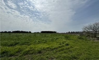 Campo en venta en Ranchos. 1 Ha con casas, pileta, arboleda, etc.