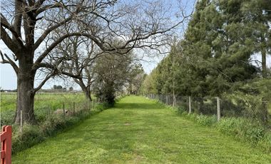 Campo en venta en Ranchos. 1 Ha con casas, pileta, arboleda, etc.