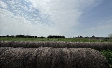 Campo en venta en Ranchos. 1 Ha con casas, pileta, arboleda, etc.
