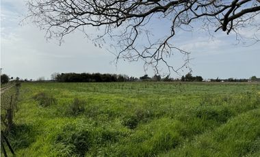 Campo en venta en Ranchos. 1 Ha con casas, pileta, arboleda, etc.
