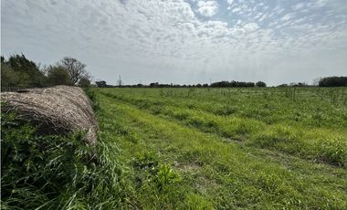 Campo en venta en Ranchos. 1 Ha con casas, pileta, arboleda, etc.