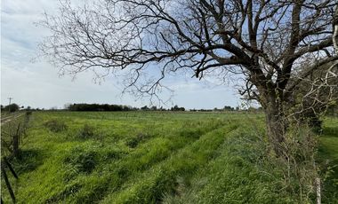 Campo en venta en Ranchos. 1 Ha con casas, pileta, arboleda, etc.