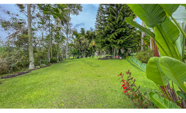 Venta de Finca Independiente Sajonia