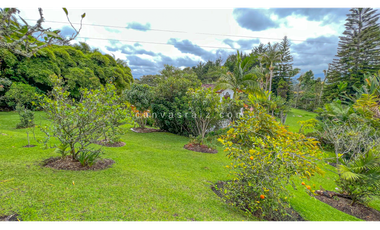 Venta de Finca Independiente Sajonia