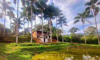 Finca para la venta en el sector de combia, Pereira!!!