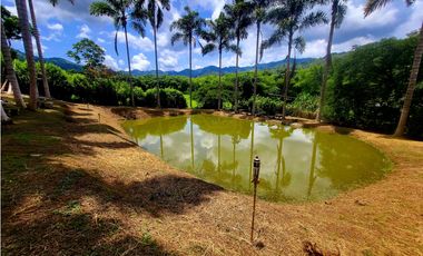 Finca para la venta en el sector de combia, Pereira!!!