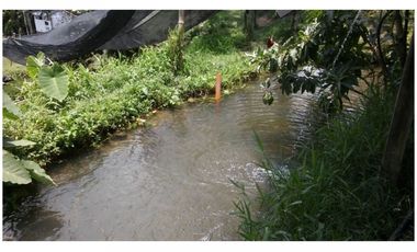 Venta Finca en Girardota vereda la Holanda, (para truchas)  57.600 mts