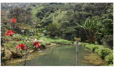 Venta Finca en Girardota vereda la Holanda, (para truchas)  57.600 mts