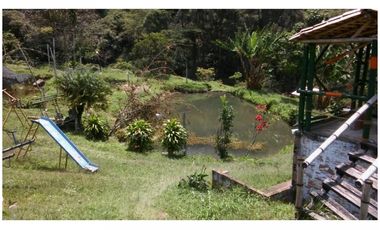 Venta Finca en Girardota vereda la Holanda, (para truchas)  57.600 mts