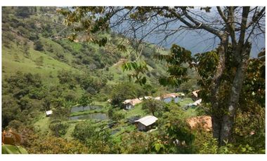 Venta Finca en Girardota vereda la Holanda, (para truchas)  57.600 mts