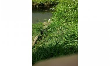 Venta Finca en Girardota vereda la Holanda, (para truchas)  57.600 mts