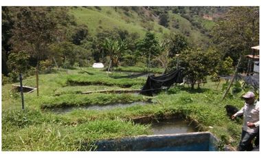 Venta Finca en Girardota vereda la Holanda, (para truchas)  57.600 mts