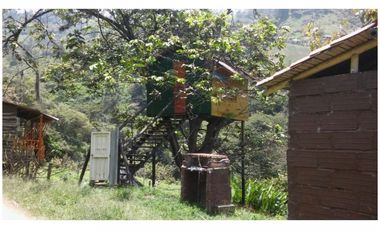 Venta Finca en Girardota vereda la Holanda, (para truchas)  57.600 mts