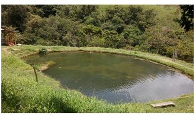 Venta Finca en Girardota vereda la Holanda, (para truchas)  57.600 mts