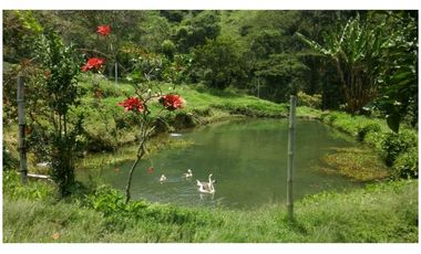 Venta Finca en Girardota vereda la Holanda, (para truchas)  57.600 mts