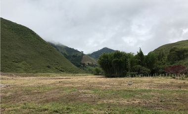 Se Vende Finca Productiva En Pitalito Huila