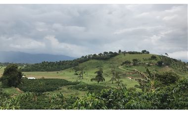 Se Vende Finca Productiva En Pitalito Huila