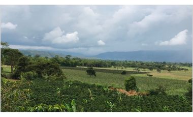 Se Vende Finca Productiva En Pitalito Huila