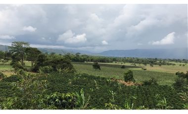 Se Vende Finca Productiva En Pitalito Huila