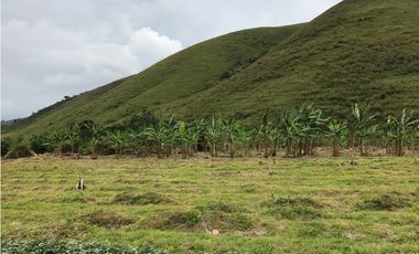 Se Vende Finca Productiva En Pitalito Huila