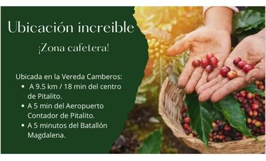 Se Vende Finca Productiva En Pitalito Huila