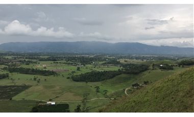 Se Vende Finca Productiva En Pitalito Huila