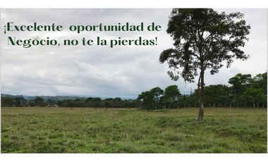Se Vende Finca Productiva En Pitalito Huila